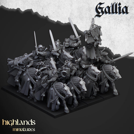 Galia knights crusaders unit x10 from Highland miniatures 3D PRINTED MINIATURES