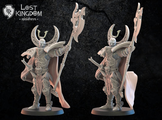 Lost Kingdom dark elf lord 3D PRINTED MINIATURES