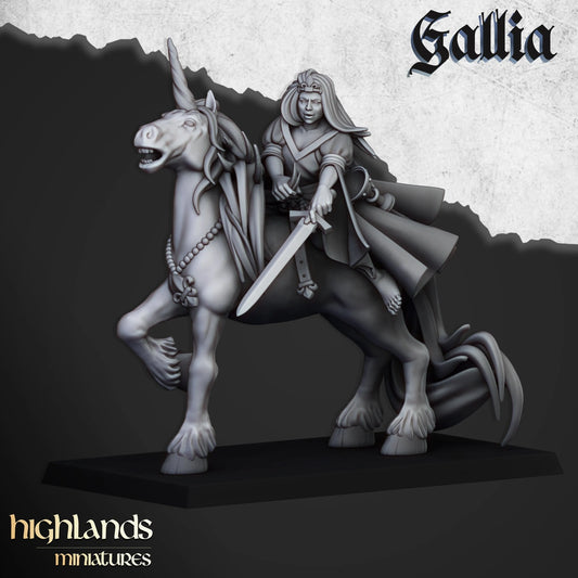 Galia damsel on unicorn from Highland miniatures 3D PRINTED MINIATURES