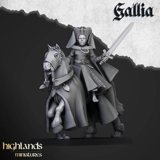 Galia damsel foot and mounted from Highland miniatures 3D PRINTED MINIATURES