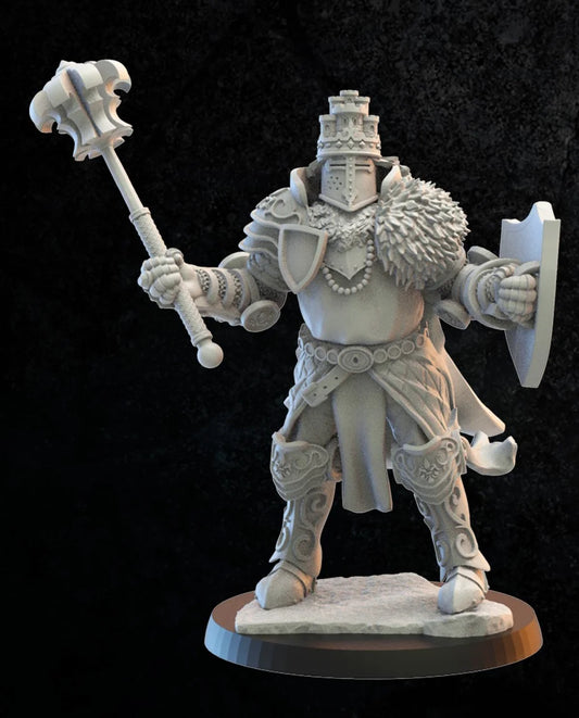 Lost Kingdom Kingdom of Mercia, sir Bors on foot 3D PRINTED MINIATURES