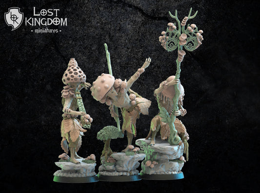 Lost Kingdom Miniatures Mushroom Warriors command group 3D PRINTED MINIATURES