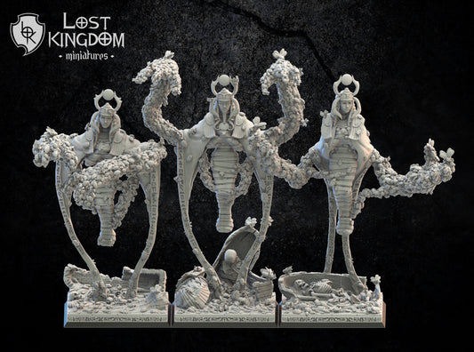 Lost Kingdom Undead Swarm sorcerers x3  3D PRINTED MINIATURES