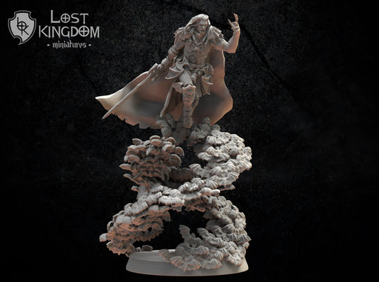 Lost Kingdom undead vampire lord 3D PRINTED MINIATURES