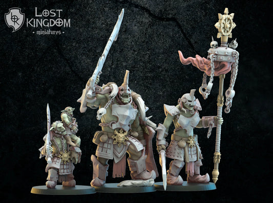 Lost Kingdom Infernal Dwarves Orc command 3D PRINTED MINIATURES