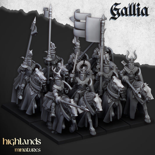 Galia knights unit x10 from Highland miniatures 3D PRINTED MINIATURES